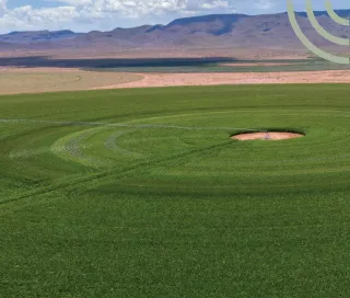 Campo circular bajo riego por pivote
