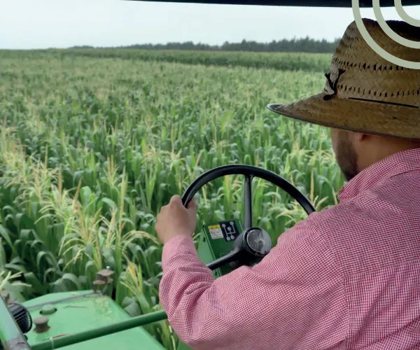 Productor conduciendo un tractor entre surcos